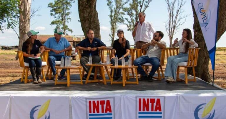 Dos nuevas variedades de arroz promovidas por el INTA Corrientes