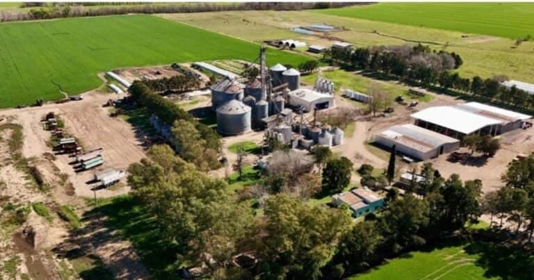 Nuevo récord: el crushing del principal cultivo de Argentina vuelve a máximos históricos