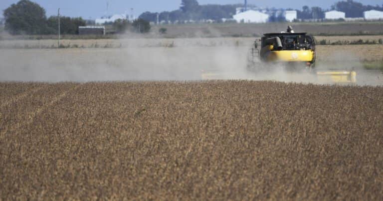 El aporte del campo a Javier Milei: proyectan que ingresarán más de US$ 30.000 millones por exportaciones de granos y subproductos