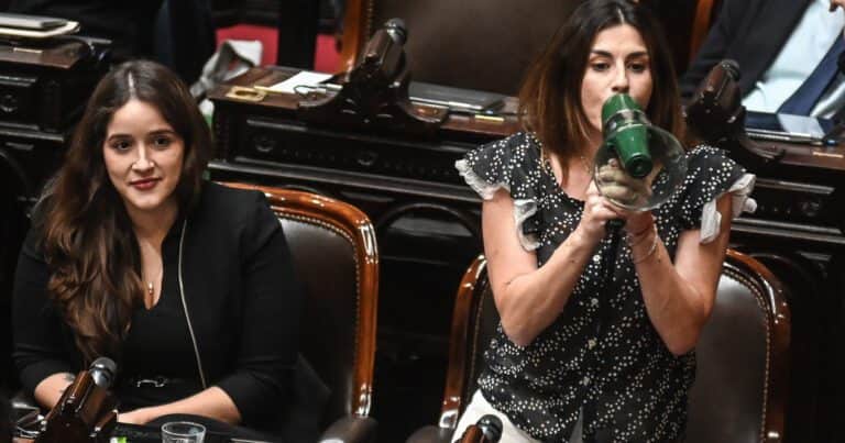 La interna libertaria a cielo abierto: con un megáfono, Marcela Pagano acusó a Martín Menem de presiones y lo tildó de «fascista»