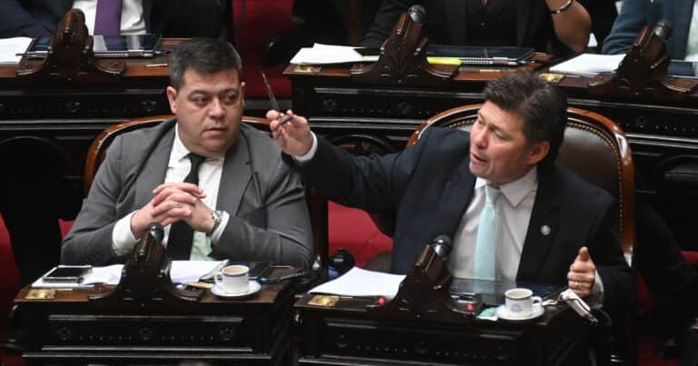 «¿Zago, querés que te dé un pico?»: el insólito pedido de disculpas del diputado Almirón durante la sesión por el acuerdo con el FMI