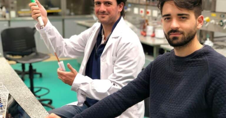 Las startups también acusan la pérdida de competitividad