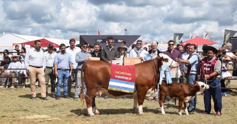 Expo Braford Avanza: los Grandes Campeones llegaron desde el Norte