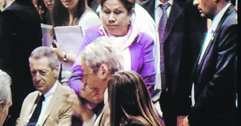 Martín Menem recordó la cachetada de Graciela Camaño a Carlos Kunkel y minimizó la escandalosa interna libertaria en el Congreso