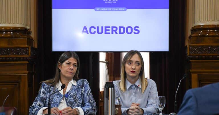 Con el apoyo de Lousteau y Tagliaferri, los K apuran el rechazo de los pliegos de Lijo y García Mansilla