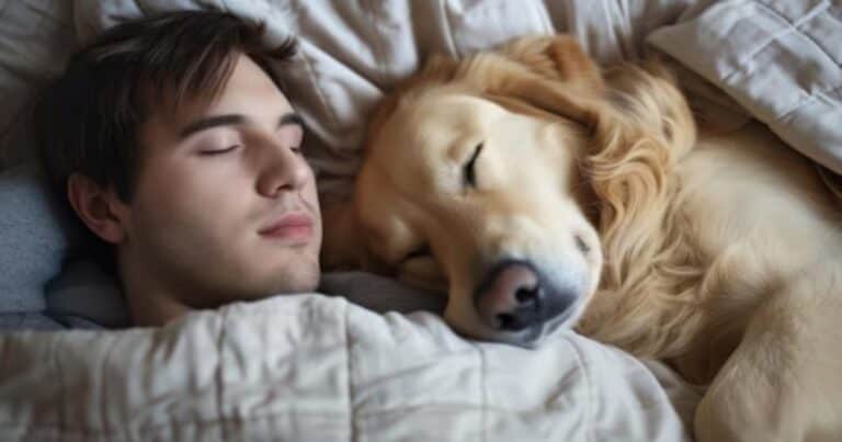 Descubrí qué raza de perro se adapta a tu personalidad