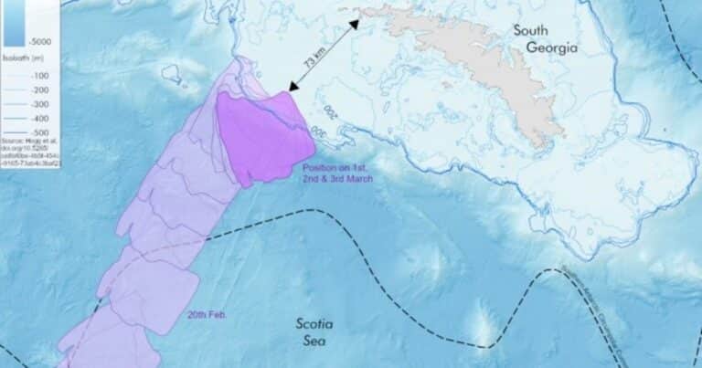 El mayor iceberg del mundo quedó inmovilizado cerca de las islas Georgias del Sur