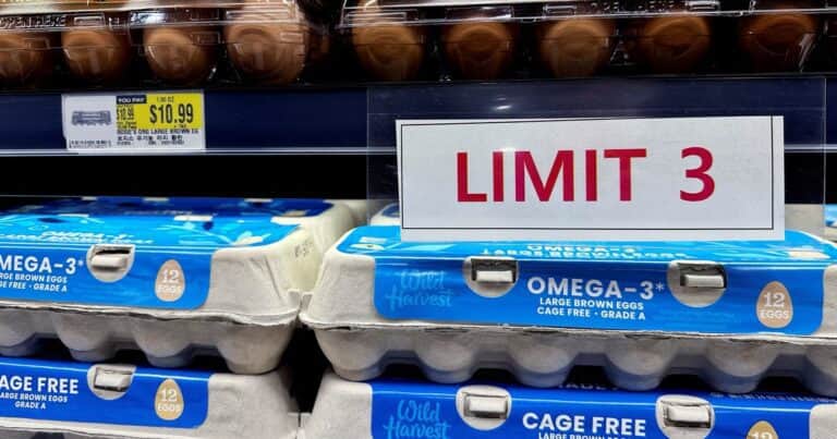 Los huevos, en crisis en Nueva York por la gripe aviar: la solución que propone la Argentina para abastecer a Estados Unidos
