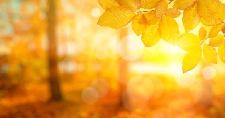 Cuándo es el equinoccio de otoño 2025