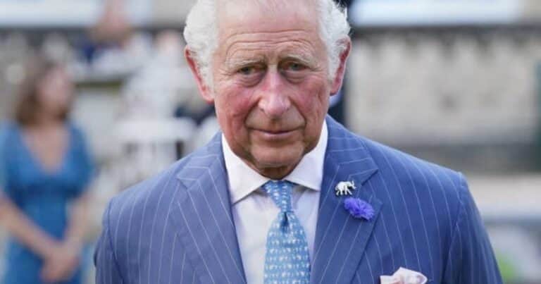 Cuántos nietos tiene el rey Carlos III y cómo es la línea de sucesión