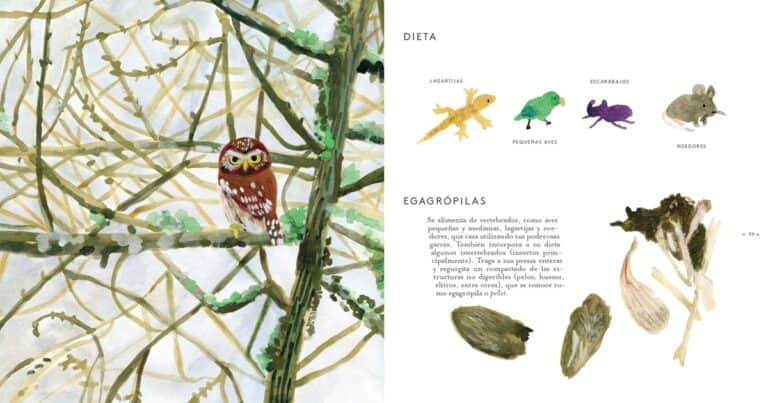 Los pájaros de Leonardo da Vinci: libros para chicos que vuelan como genios
