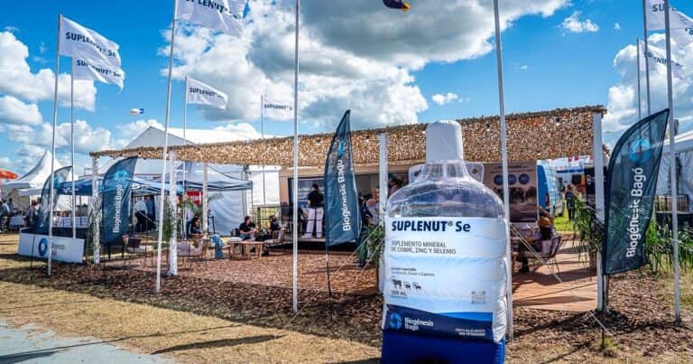 «Eficiencia productiva»: presentaron en Expoagro un nuevo suplemento con selenio que fortalece la inmunidad del rodeo