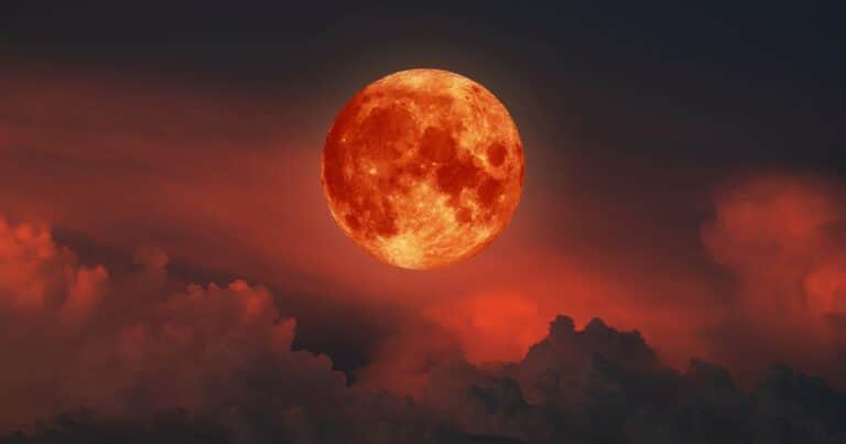 Eclipse lunar de marzo 2025: Cuándo y a qué hora se verá en cada país la «Luna de Sangre»