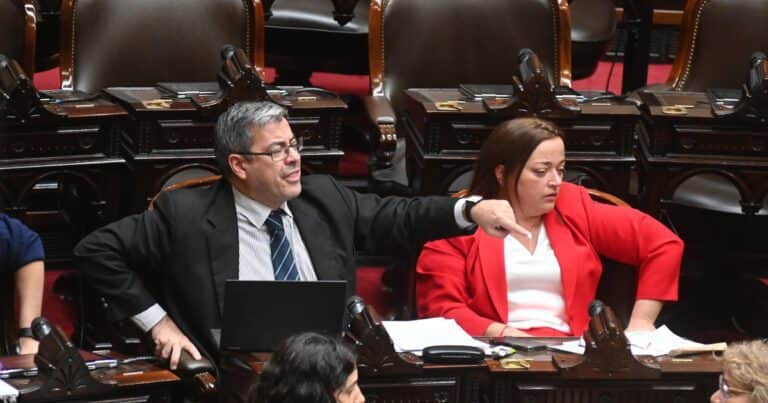 Otra vez tensión en el Congreso: los diputados K, a los gritos contra los radicales y contra Lilia Lemoine por filmar con su celular