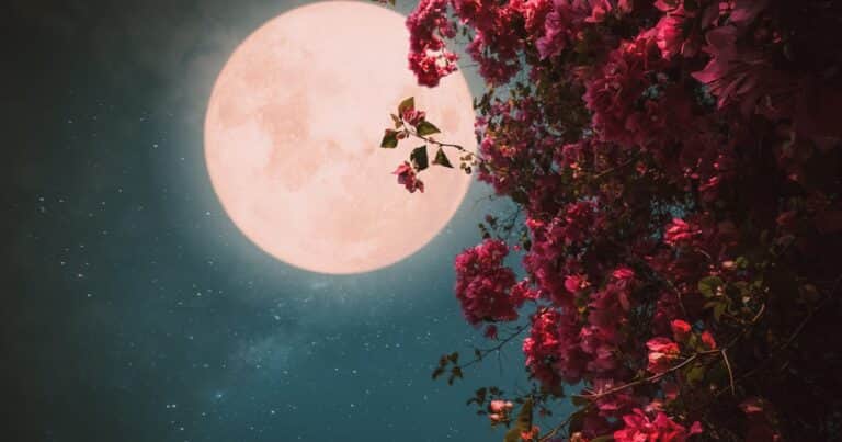 Luna Rosa de abril 2025: dónde, cómo y a qué hora se verá en cada país