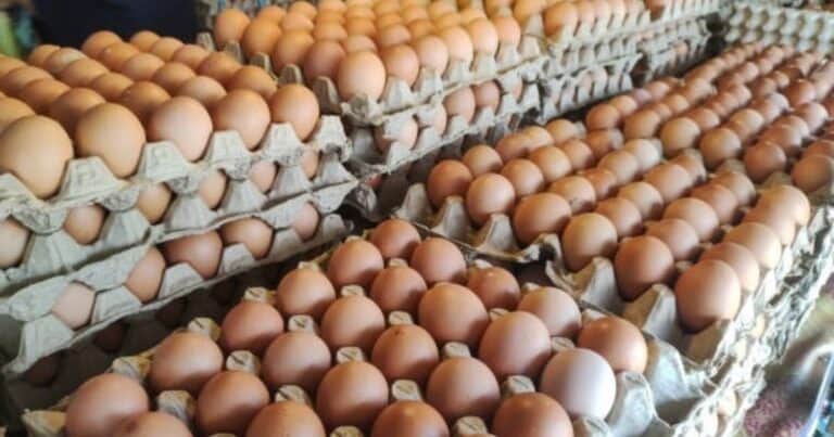 Los huevos que no deberías llevar del supermercado y el motivo que pocos saben