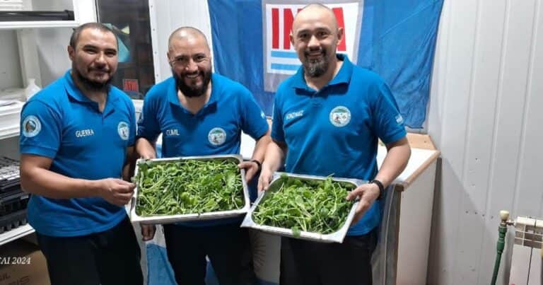 Cómo comer una pizza con rúcula en la mitad de la Antártida: la hidroponia es la respuesta