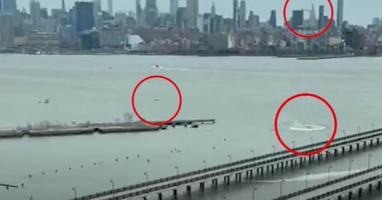 «La tuerca de Jesús»: la nueva teoría sobre la tragedia del helicóptero que se estrelló en el Río Hudson