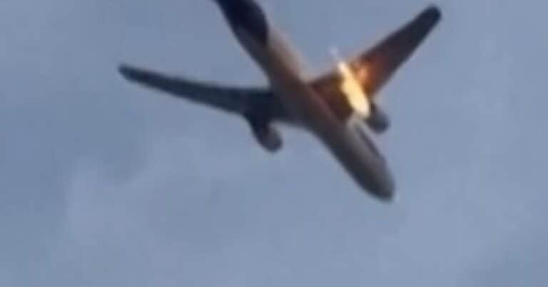 «No es un ave»: el insólito animal que terminó en el motor de un avión y causó un incendio en pleno vuelo