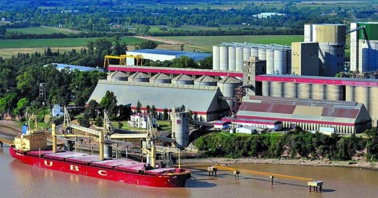 Argentina supera otra vez a Brasil y consolida el liderazgo en las exportaciones mundiales del producto que más dólares genera