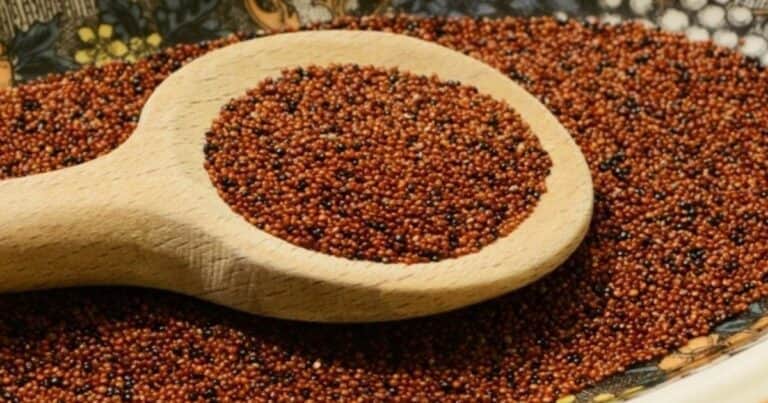 No es avena ni quinoa: el cereal sin gluten que retrasa el envejecimiento y mejora la memoria