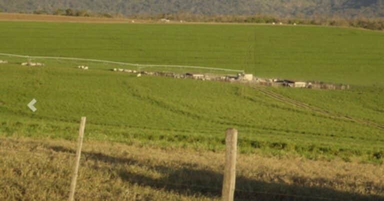 ¿Los productores son insensibles a las retenciones?
