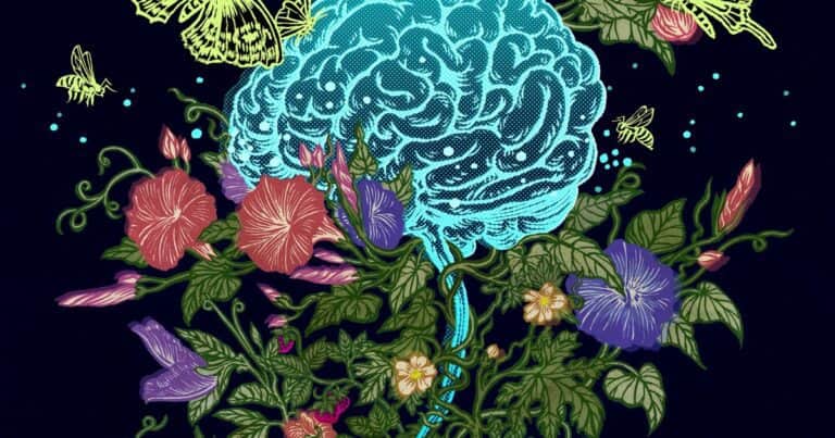 Cómo la educación transforma el cerebro y modifica la forma de pensar, según la ciencia