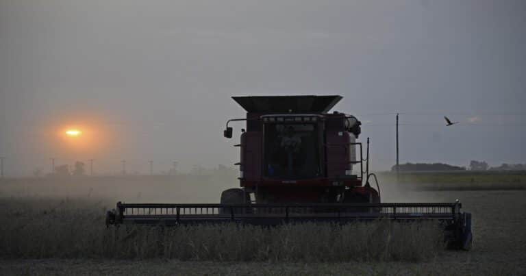 «No abandonó los lotes»: sorpresa en la cosecha de soja por los rindes en la principal región agrícola y elevan la estimación