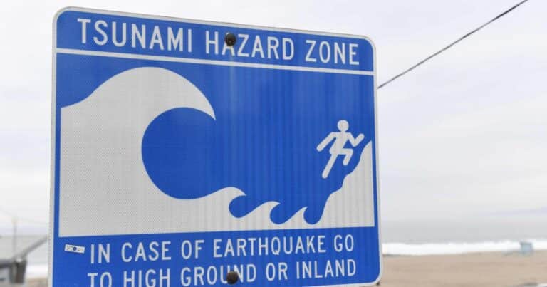 Científicos alertan sobre un «mega tsunami» con olas arrasadoras para tres regiones de Estados Unidos