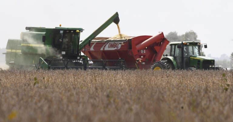 A un mes del nuevo esquema cambiario, se registraron ventas al exterior del agro por US$ casi 4.000 millones