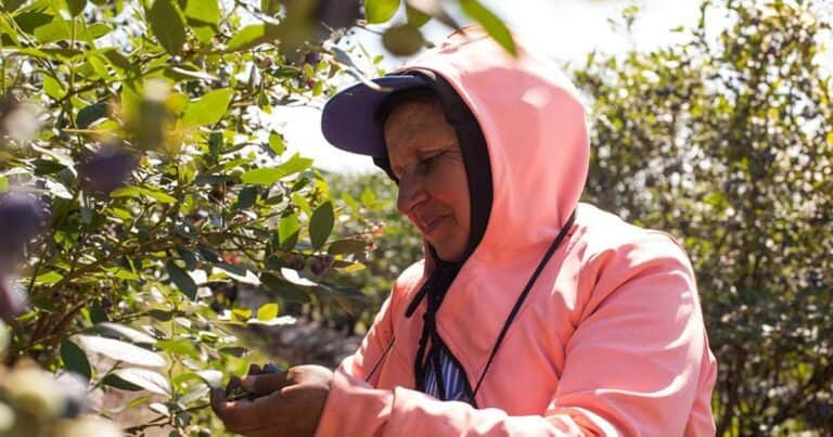 Aumentan la prestación por desempleo a $260.000