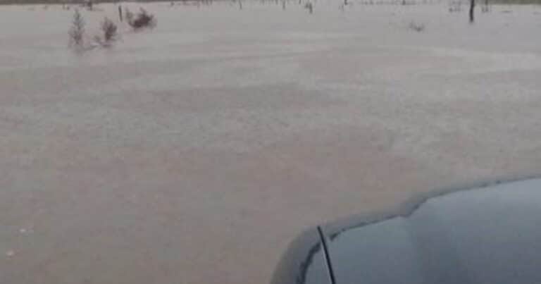 El día después de las fuertes lluvias en el norte de Buenos Aires