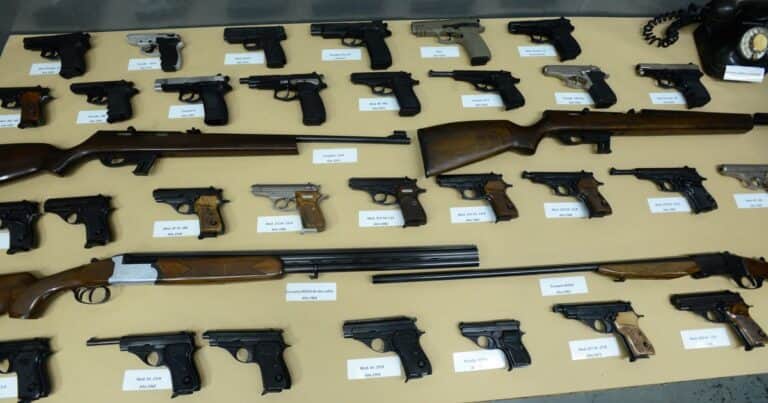 Tenencia exprés: polémica por la medida que agiliza el trámite para registrar un arma