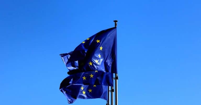 «Evaluación injustificada»: la Unión Europea calificó a la Argentina con riesgo estándar en deforestación
