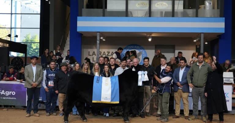 Semana Angus de Otoño: el Supremo Gran Campeón Angus fue para Quequén Sur y la Suprema Gran Campeona para La Alianza