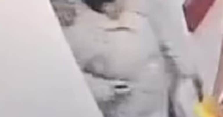 Delatada por las cámaras: fue a visitar a su nieta al hospital, pero terminó detenida por robarle el iPhone a una enfermera