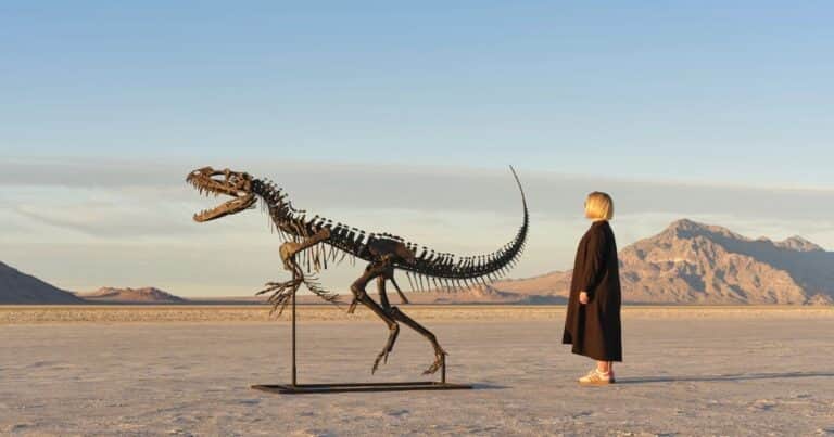 Sotheby’s subasta el esqueleto de Ceratosaurus: El único ejemplar juvenil conocido