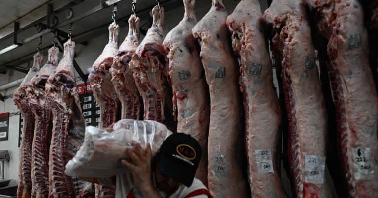 Crecieron las importaciones de carne vacuna desde Brasil, Uruguay y Paraguay