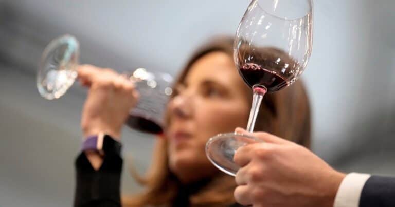 ¿Hay futuro para el Malbec?: la industria del vino se reconvierte para dar pelea entre los más jóvenes