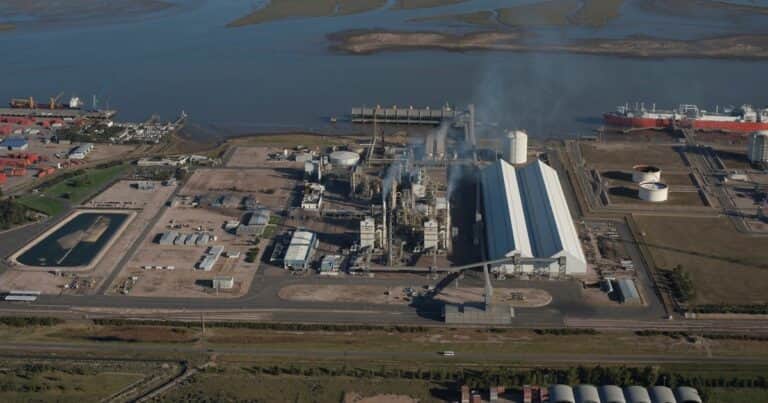 Una multinacional colgó el cartel de venta para el 50% del mayor productor de fertilizantes del país