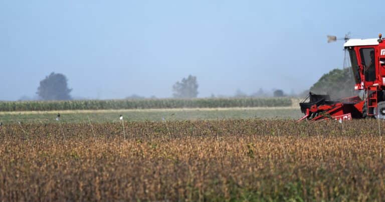 El Gobierno respondió a los reclamos del campo por el regreso de las retenciones: «No se puede pedir que las bajemos de un día para el otro»