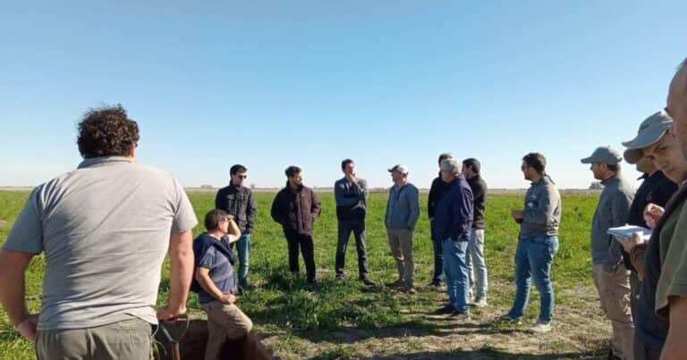 Tasas positivas y márgenes estrechos: el nuevo escenario financiero del agro