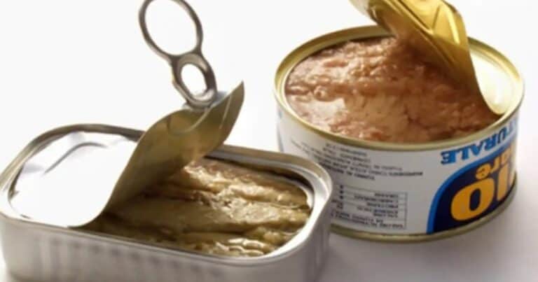 ¿Usás o tirás el aceite del atún?: Esto recomiendan los especialistas
