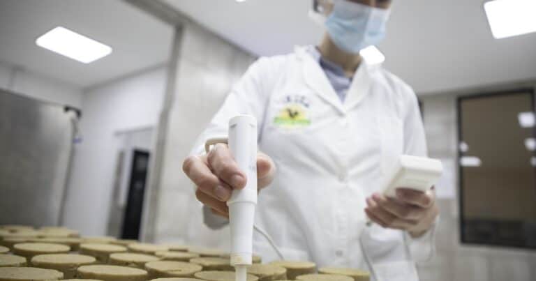En marzo cayó el empleo en blanco y anticipan que la baja siguió en abril