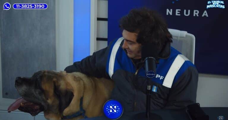 Javier Milei apareció con su perro Conan en un programa de streaming y donó un millón de pesos para un refugio de animales