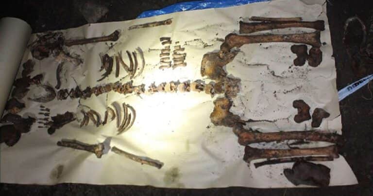 Revelan detalles macabros del misterio de Coghlan: al joven NN lo acuchillaron e intentaron trozarlo