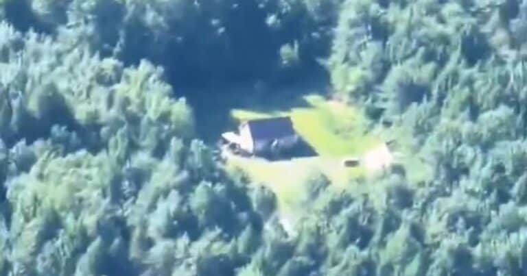 La solitaria cabaña en medio del bosque que genera debate en redes: «No, gracias»