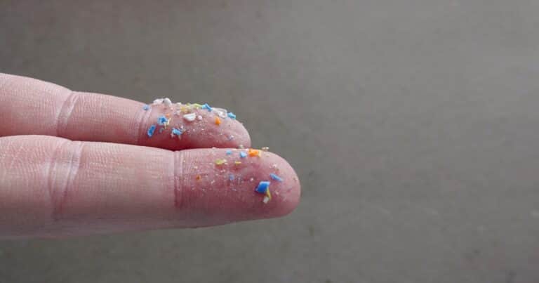 La amenaza silenciosa: microplásticos en el suelo
