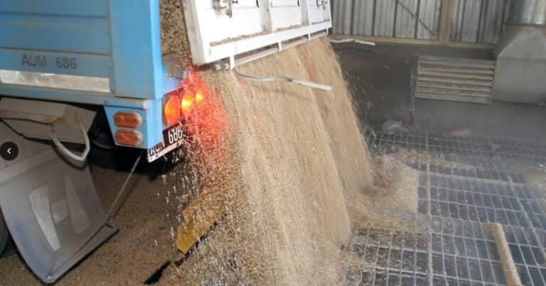 El acuerdo con Bunge para vender harina de soja a China es absolutamente central