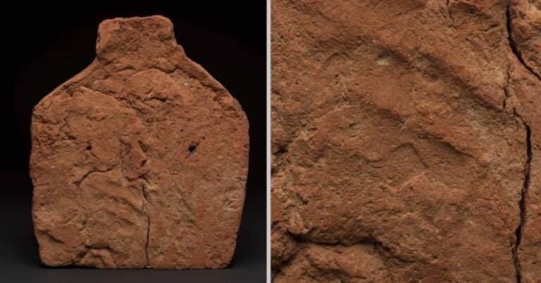 CSI del pasado: descubren la huella de una mano de 4.000 años de antigüedad
